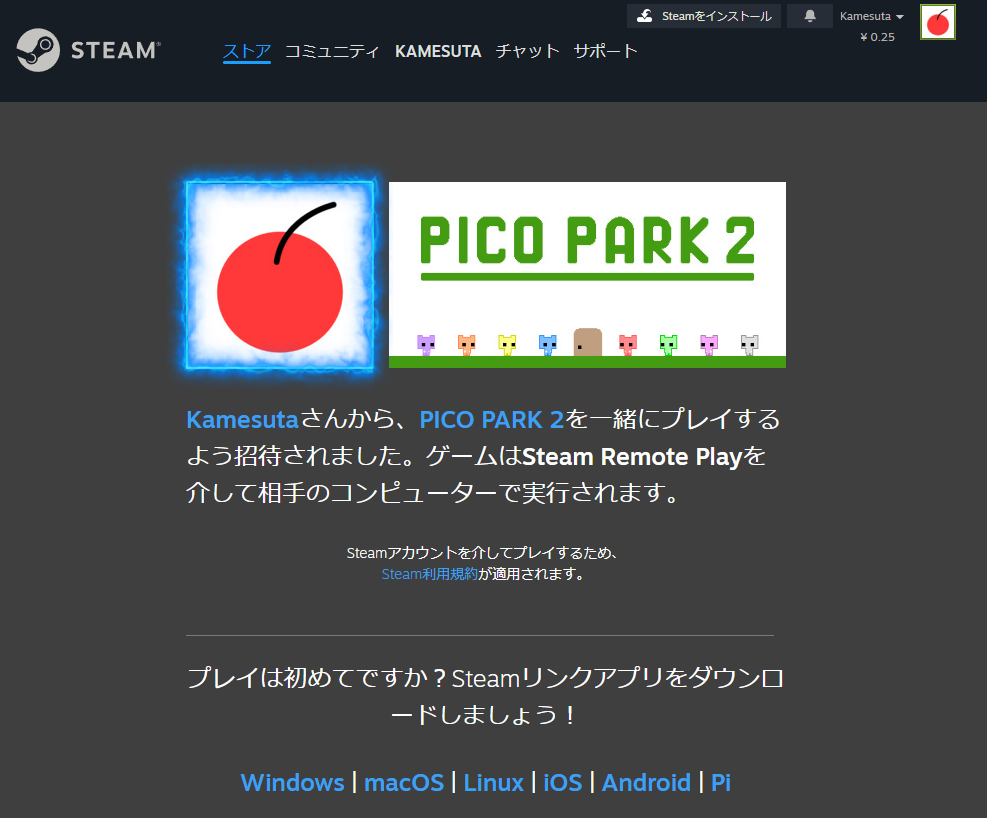 Steam Remote Play Together Screen